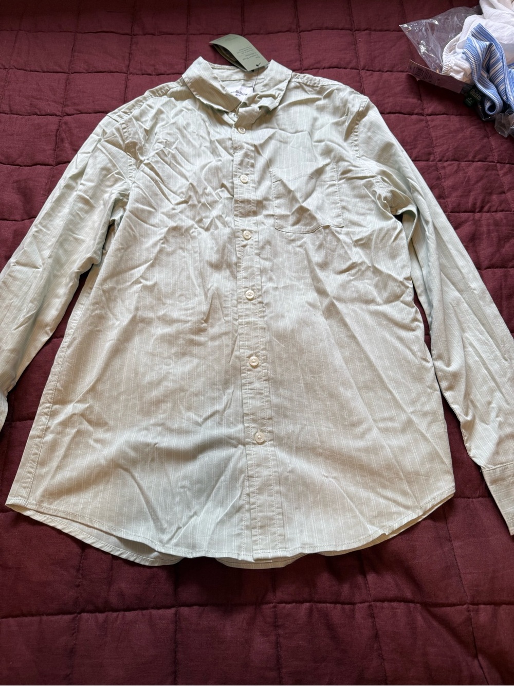Women’s Light Green striped Button-Down Shirt